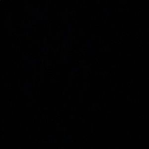 Meet your Posher, Maxine